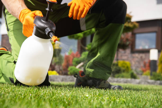 Best Affordable Pest Control Services  in New Eagle, PA